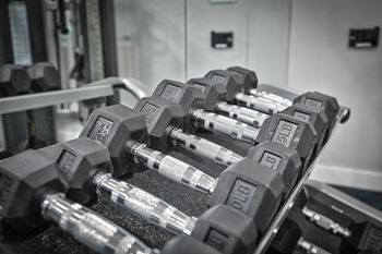 a row of dumbbells in a gym
